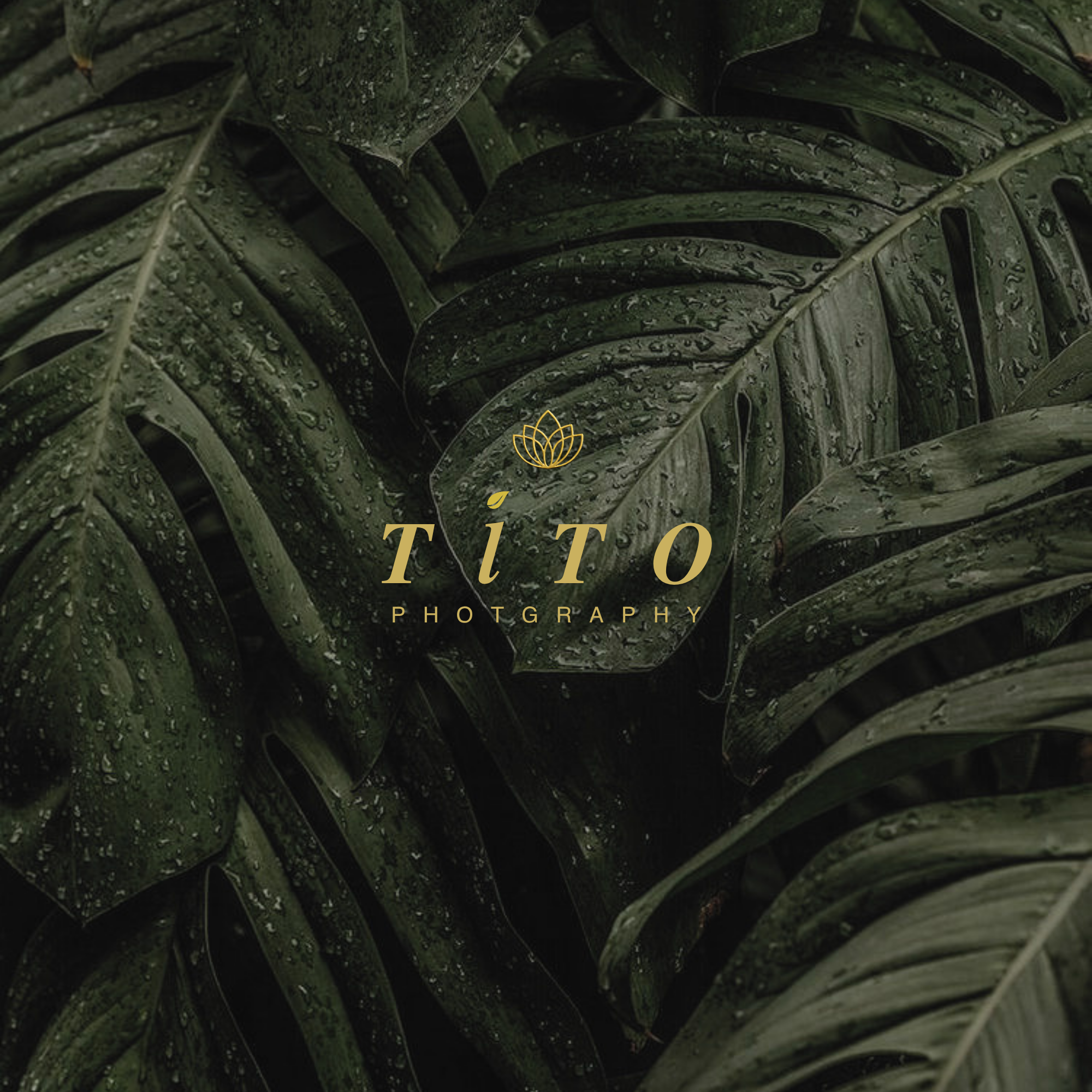 TITO Photography